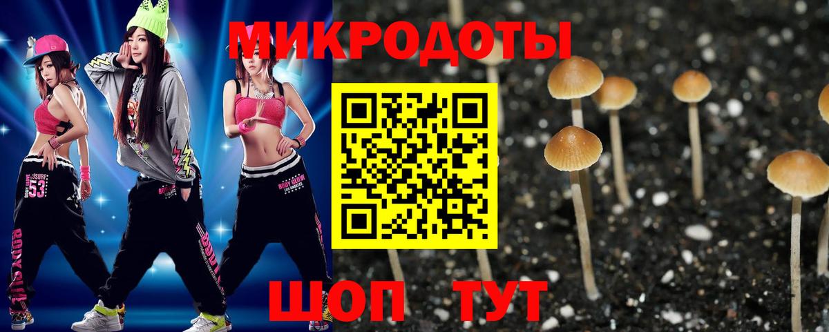 Владивосток  как найти   Вход с VPN  Псилоцибиновые грибы мицелий 